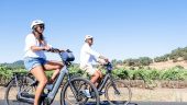 Perfect bike ride through Napa