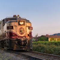 Food, Wine & Nightlife