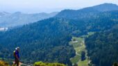 Amazing Napa Day!