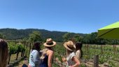 Anniversary private tour