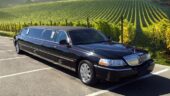 Fantastic wine tours,  I keep coming back!