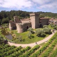 Shore Excursions