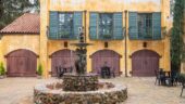 Casual and educational vineyard experience