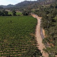 Bike & Mountain Bike Tours