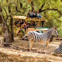 Sightseeing Tickets & Passes