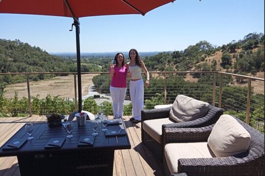Private Chauffeured Winery Tour