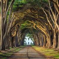 Multi-day & Extended Tours