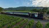An Amazing Day in Napa Valley